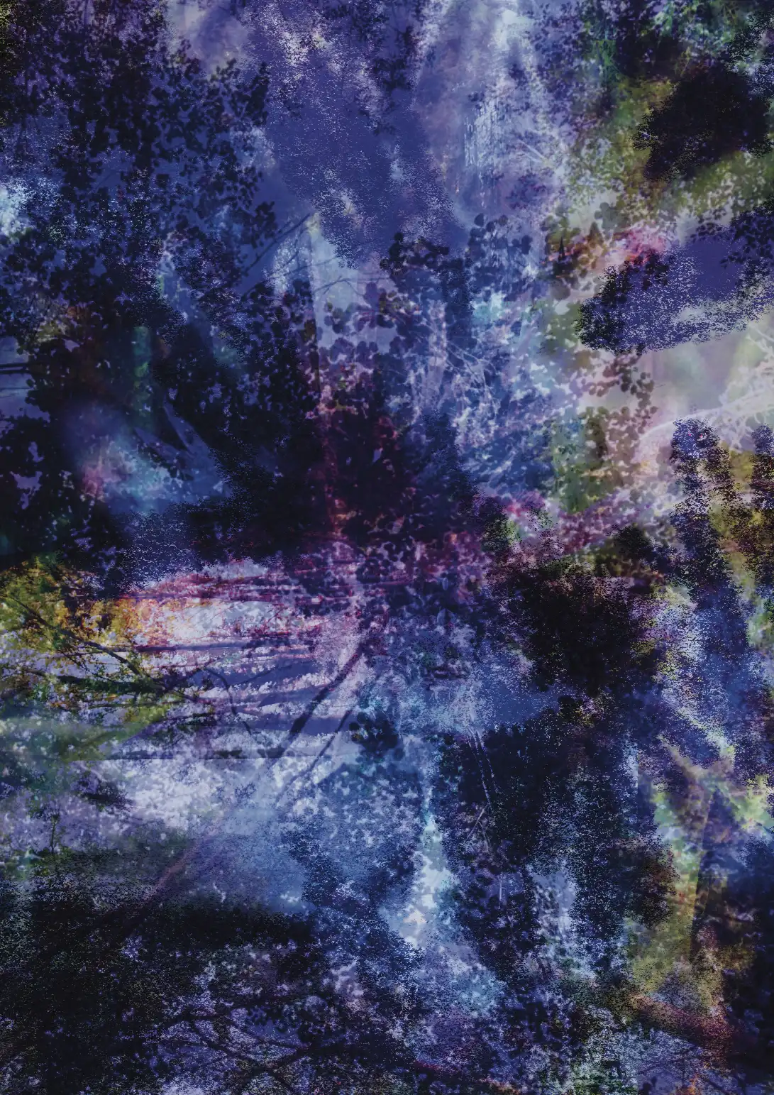 Obra 4